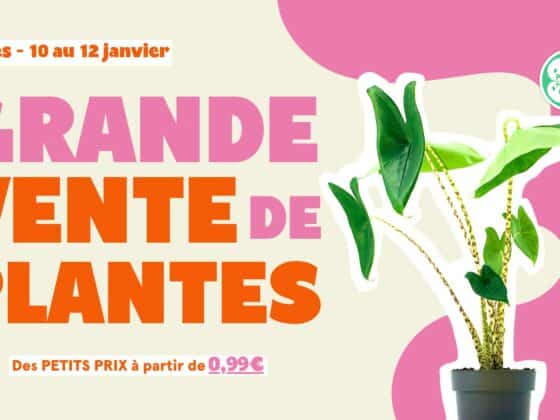 Grande vente de plantes janvier 2025