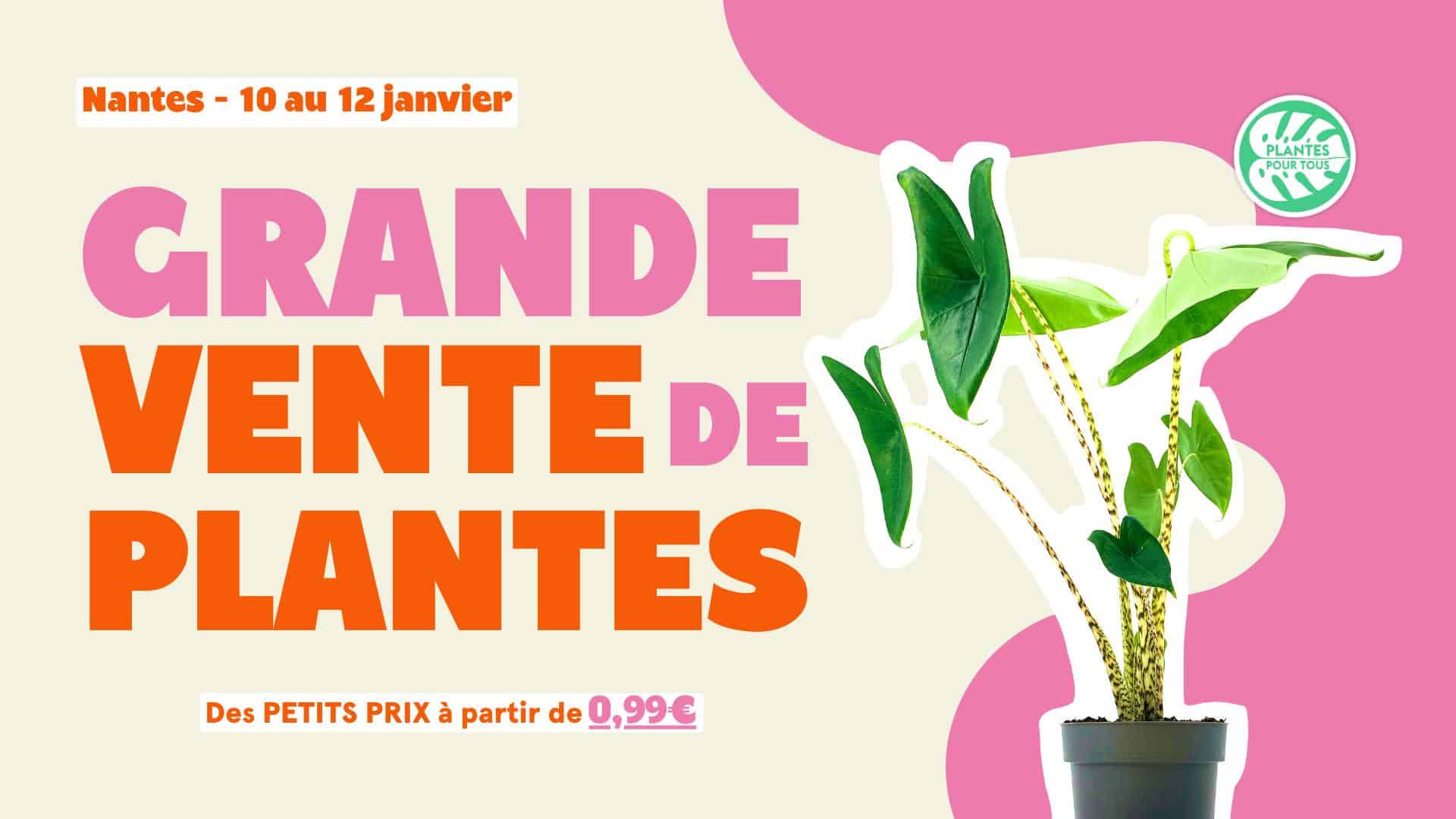 Grande vente de plantes janvier 2025