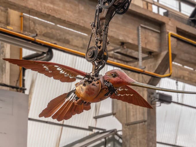 Colibri aux machines de l'île