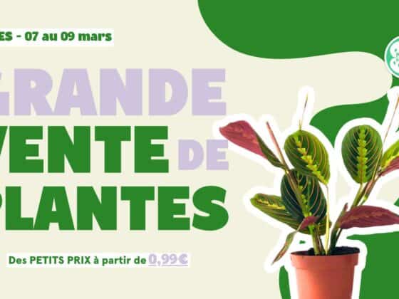 Vente de plantes mars 2025