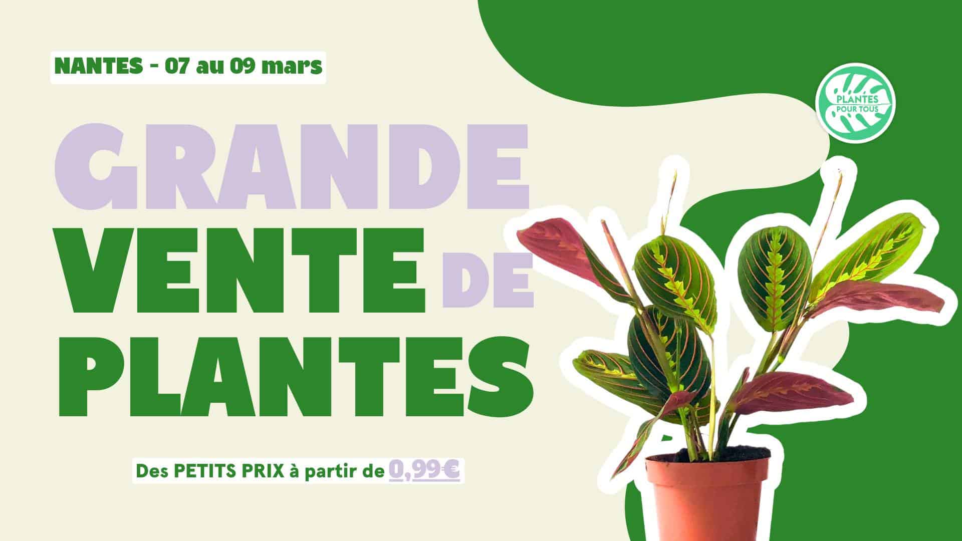 Vente de plantes mars 2025